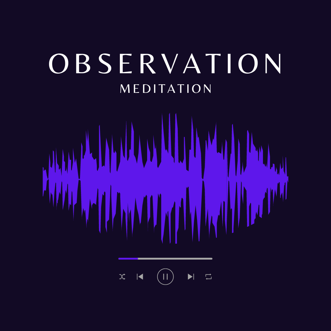 Observation Meditation (1)